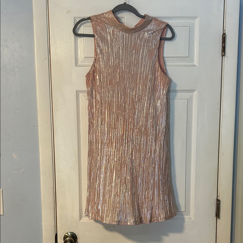 Shimmering Sleeveless Dress